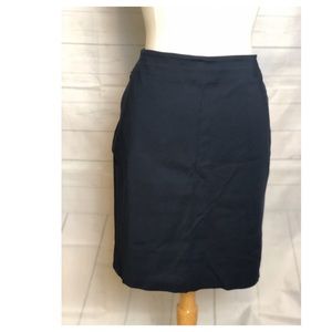 AKRIS Women Blue Casual and working Skirt